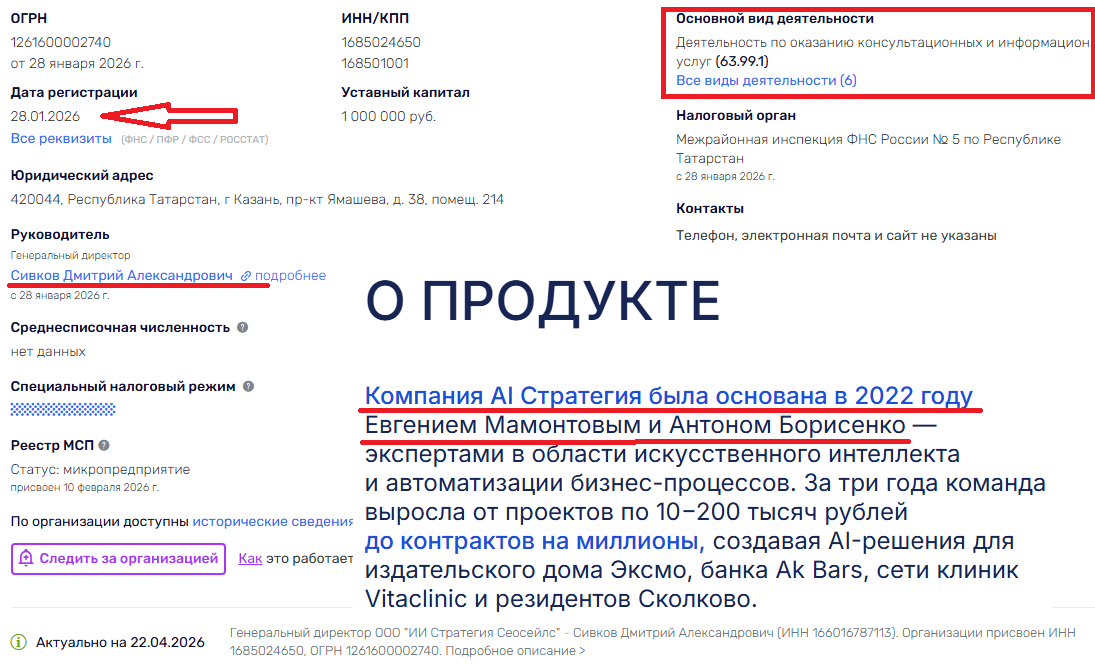 ооо ии стратегия сеосейлс