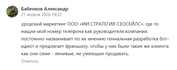 ооо ии стратегия сеосейлс отзывы