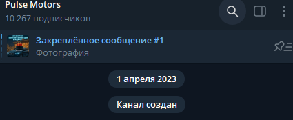 pulse motors телеграм отзывы