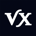 VX Digital Group