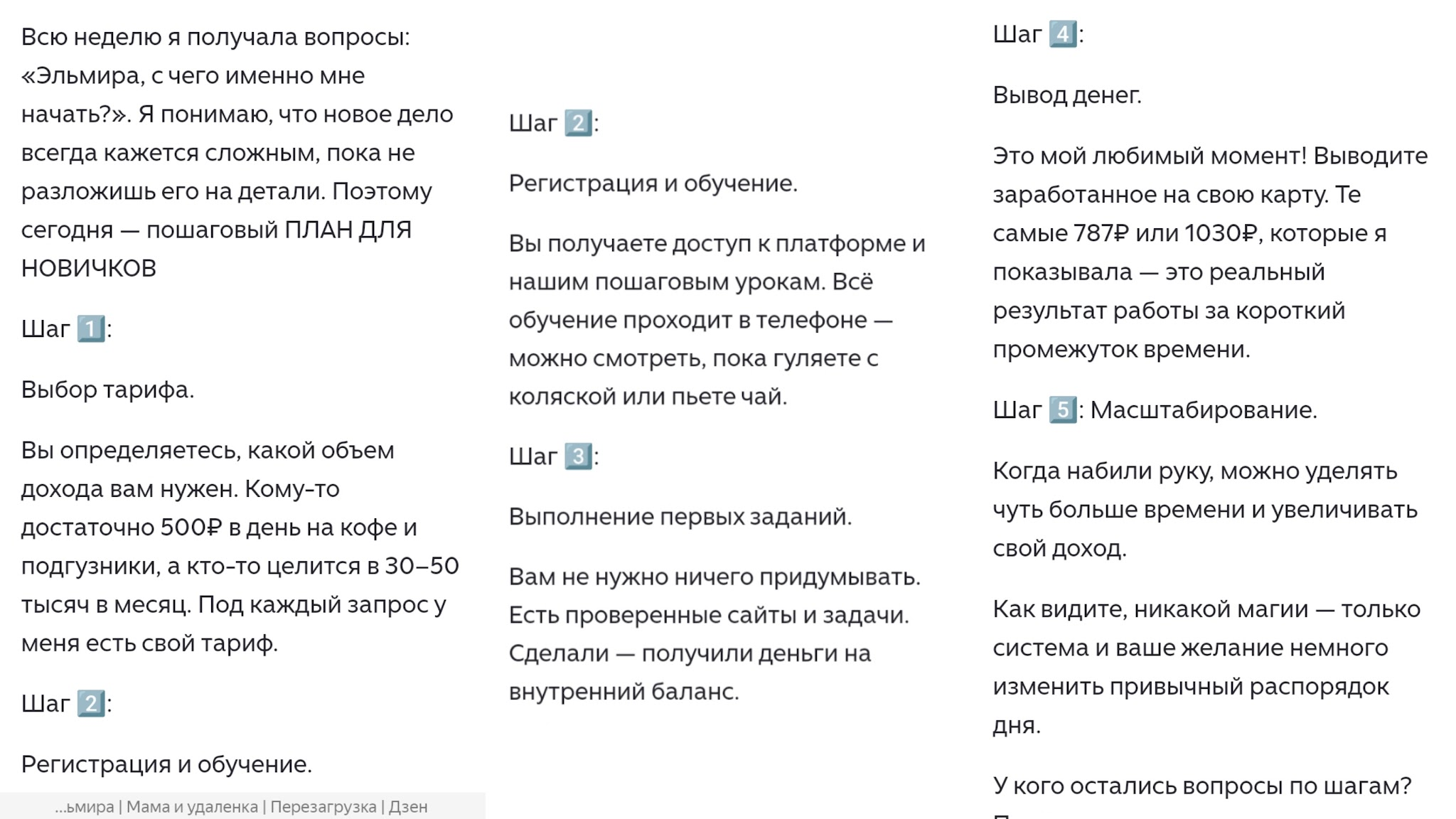 эльмира удаленка отзывы