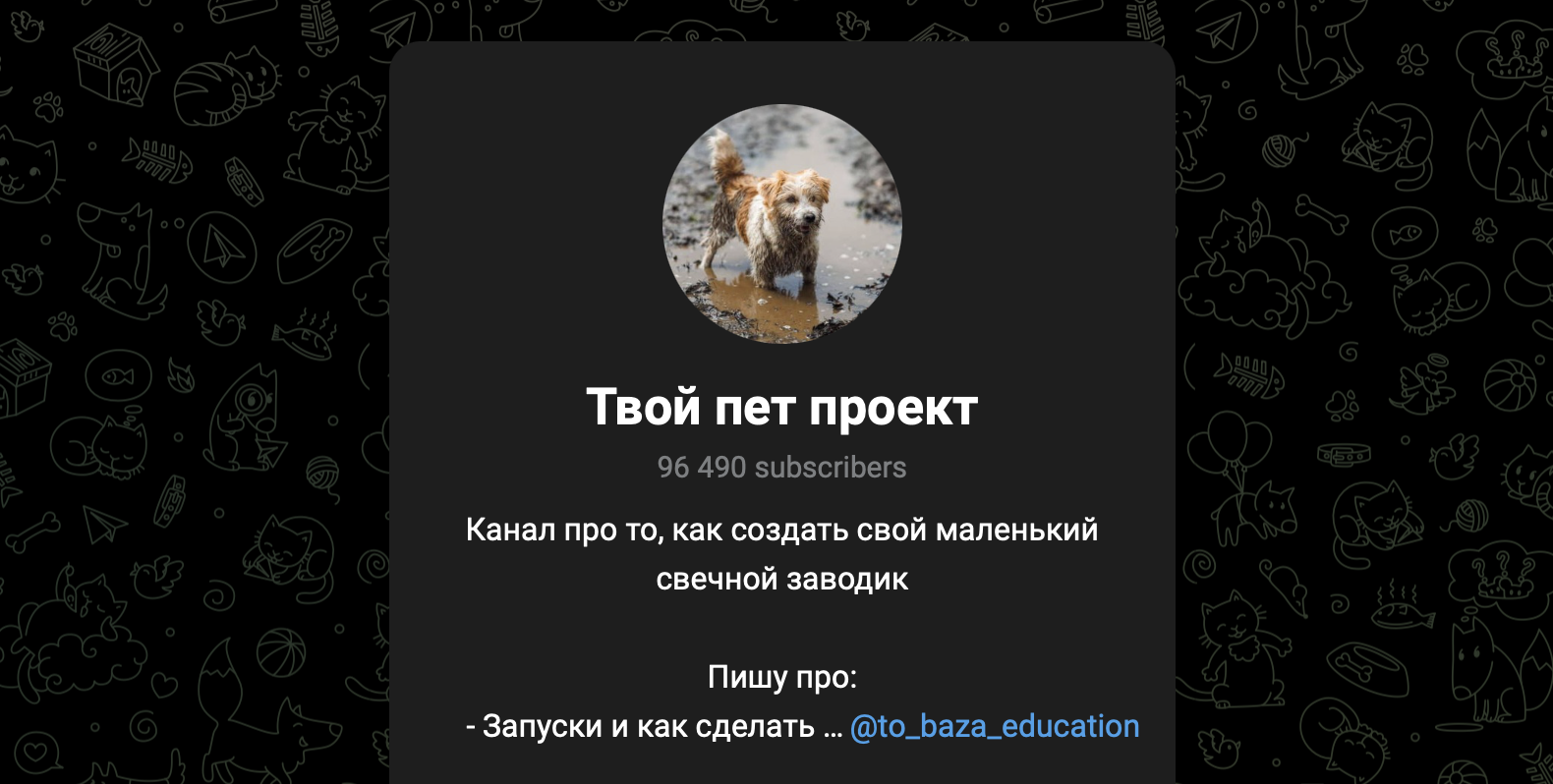 твой пет проект
