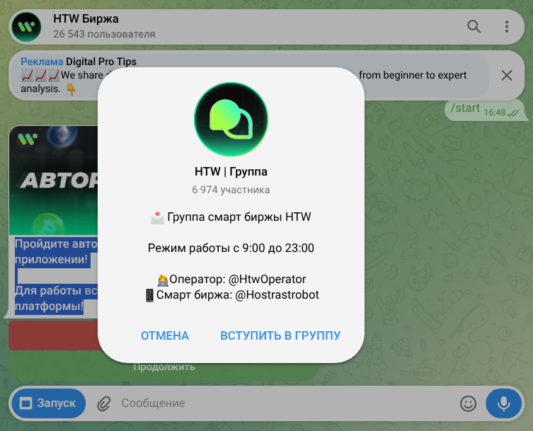 hostrastrobot отзывы