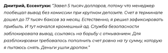 marketroute скам