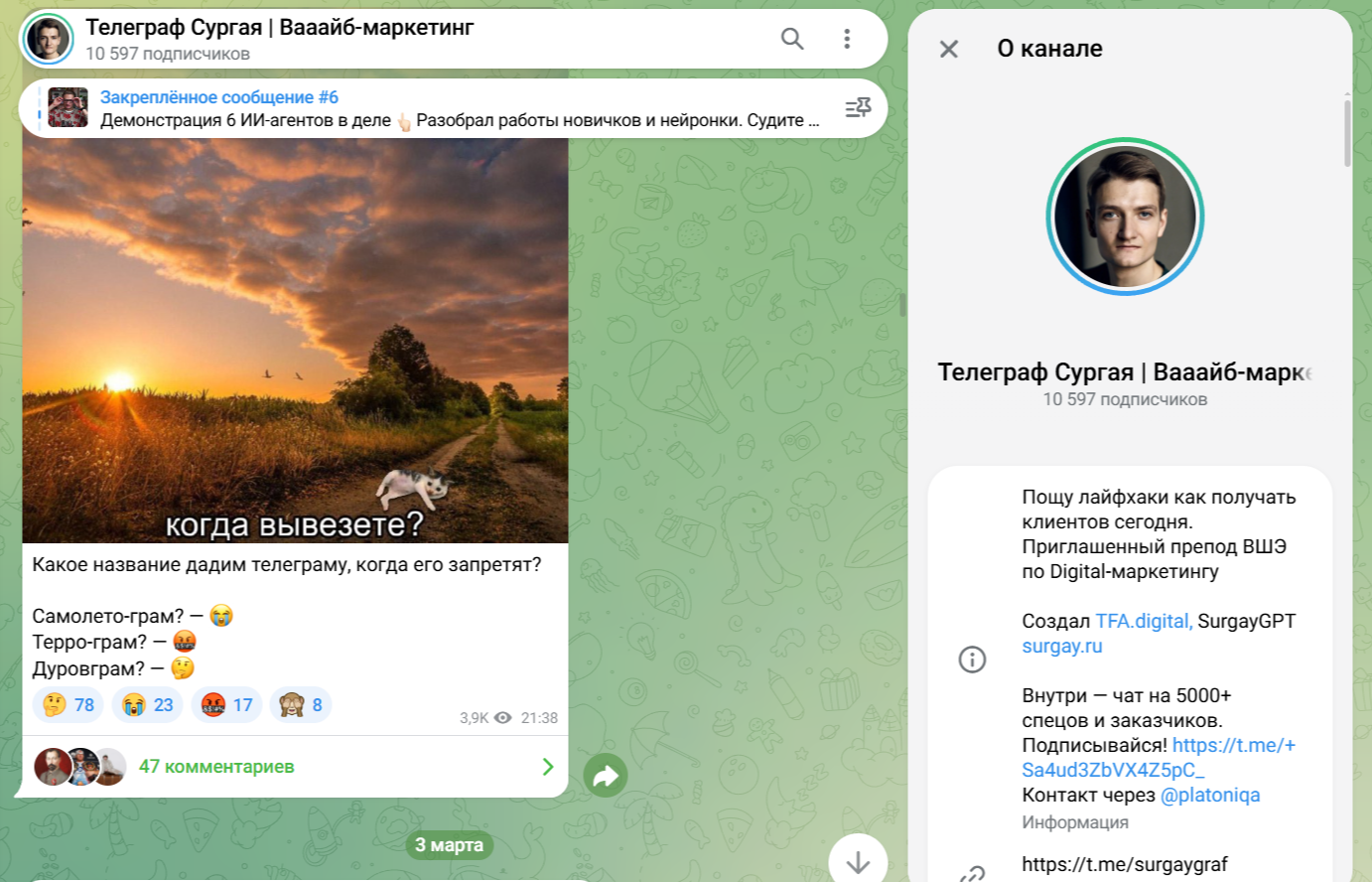 Владимир Сургай
