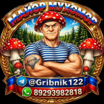 Майор Мухомор