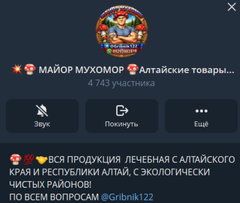 майор мухомор telegram отзывы майор мухомор telegram отзывы