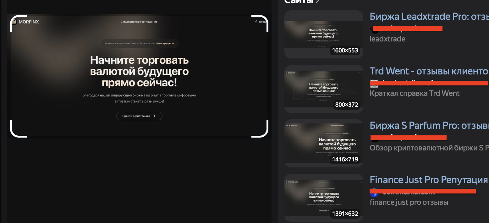 morfinx digital отзывы