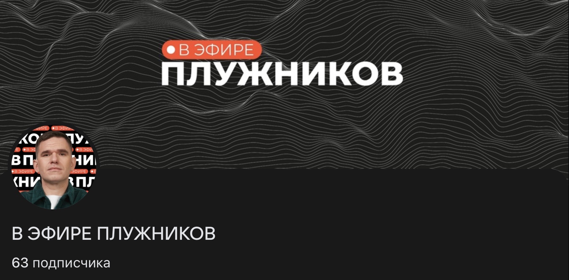 pluzhnikov online ya ru