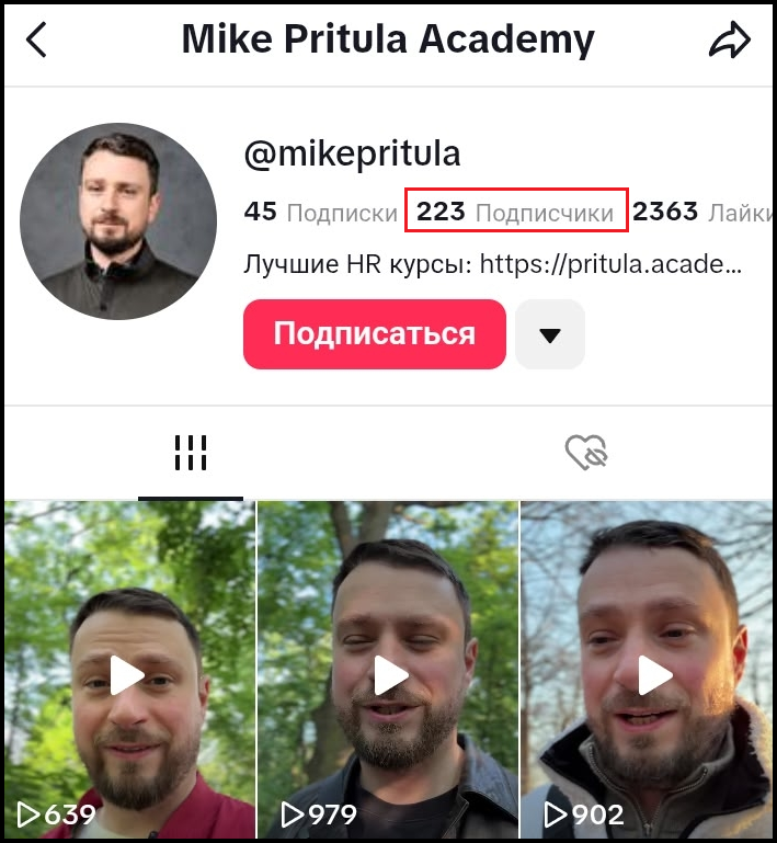 pritula academy pritula academy