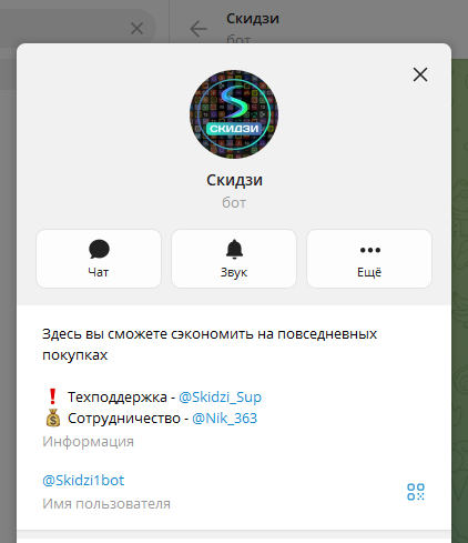 скидзи