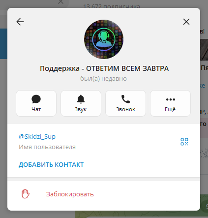 Skidzi