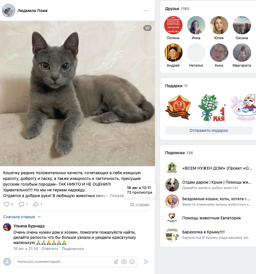 телеграм канал телеграм канал