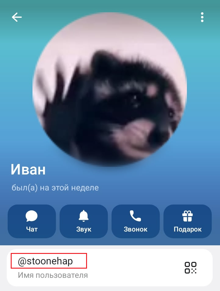 тг slivaemcoursee отзывы
