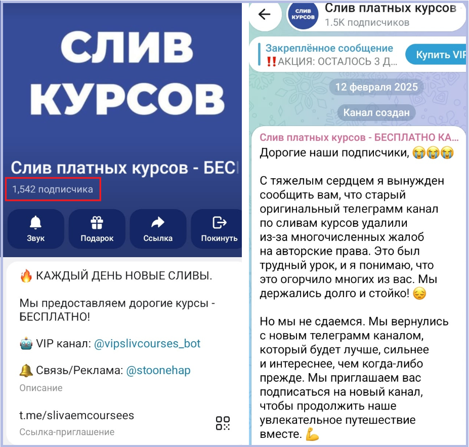 тг slivaemcoursee отзывы