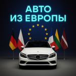 Top Trade Group ru