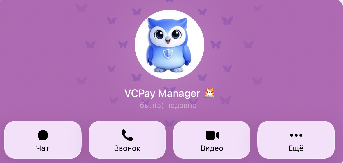 vs pay что это