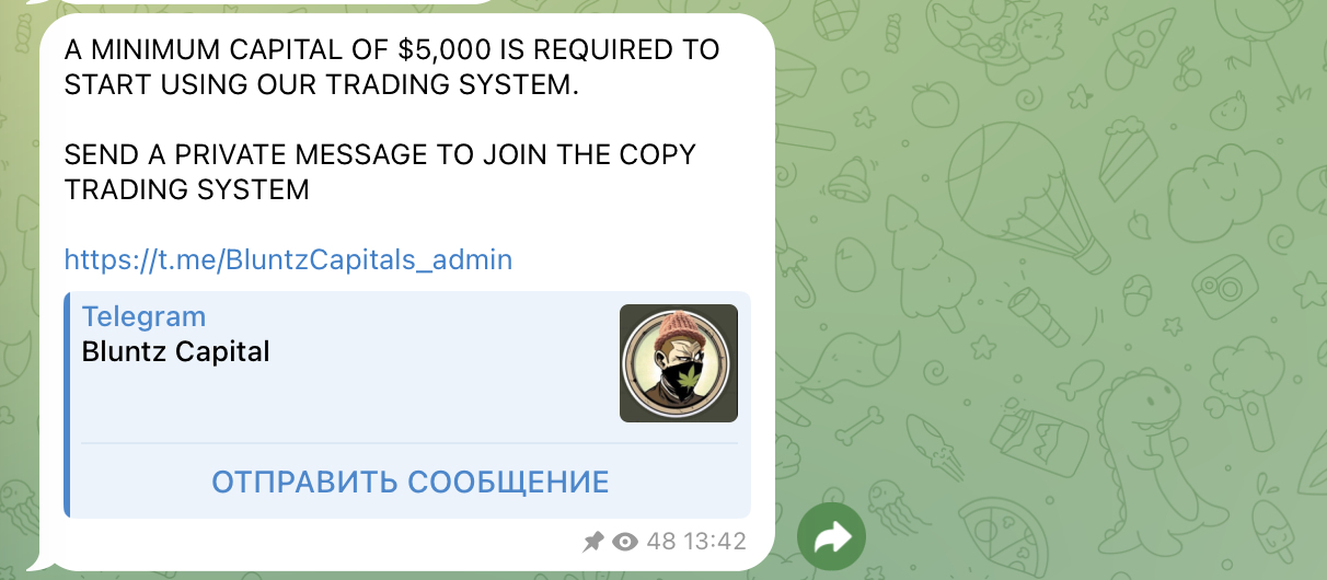 https t me thebluntzcapital отзывы