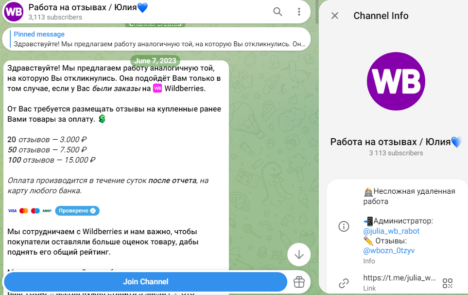 julia wb rabot отзывы
