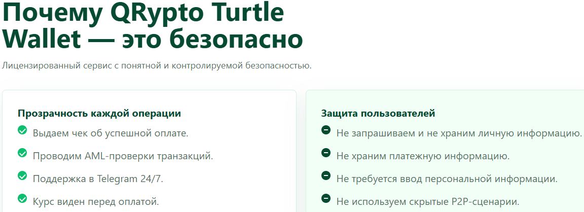 qrypto turtle