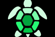 Qrypto Turtle Wallet